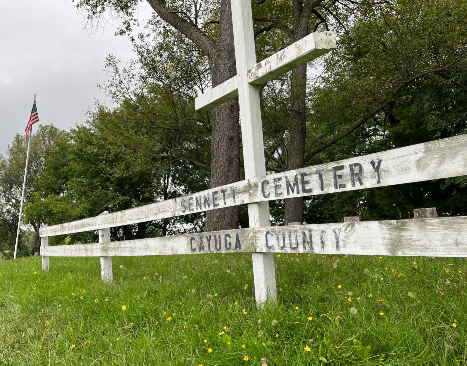 Cayuga County Poor House Cemetery4.JPG